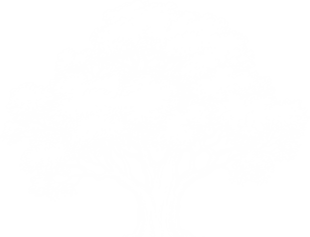 Marcucci & Company Tree Experts gallery 8