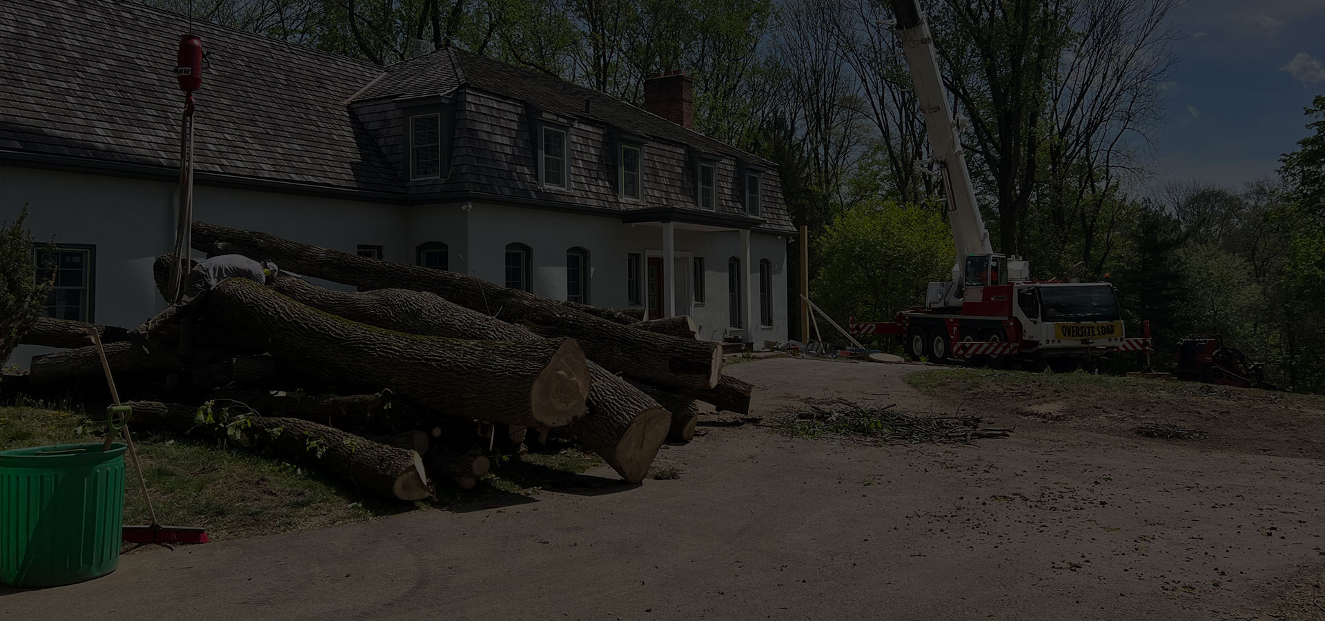 Land & Site Clearing Marcucci & Co. Tree Experts Main Line Tree