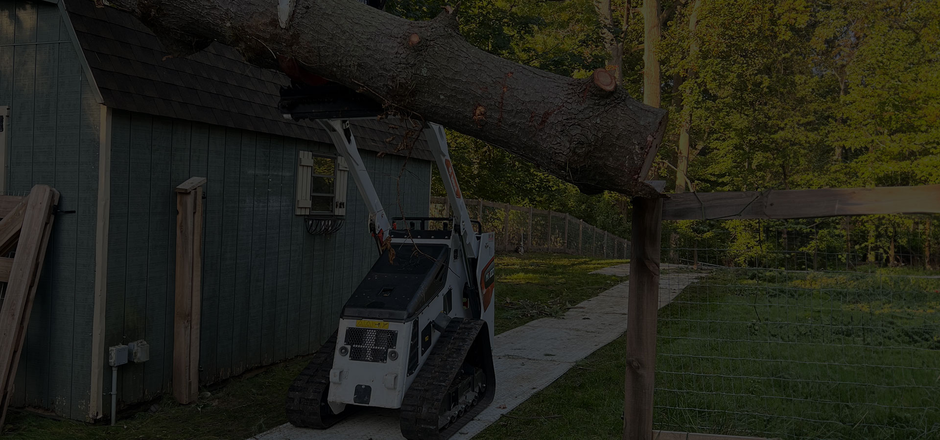 Marcucci & Co. Tree Experts Main Line Tree Services PA Main Line PA